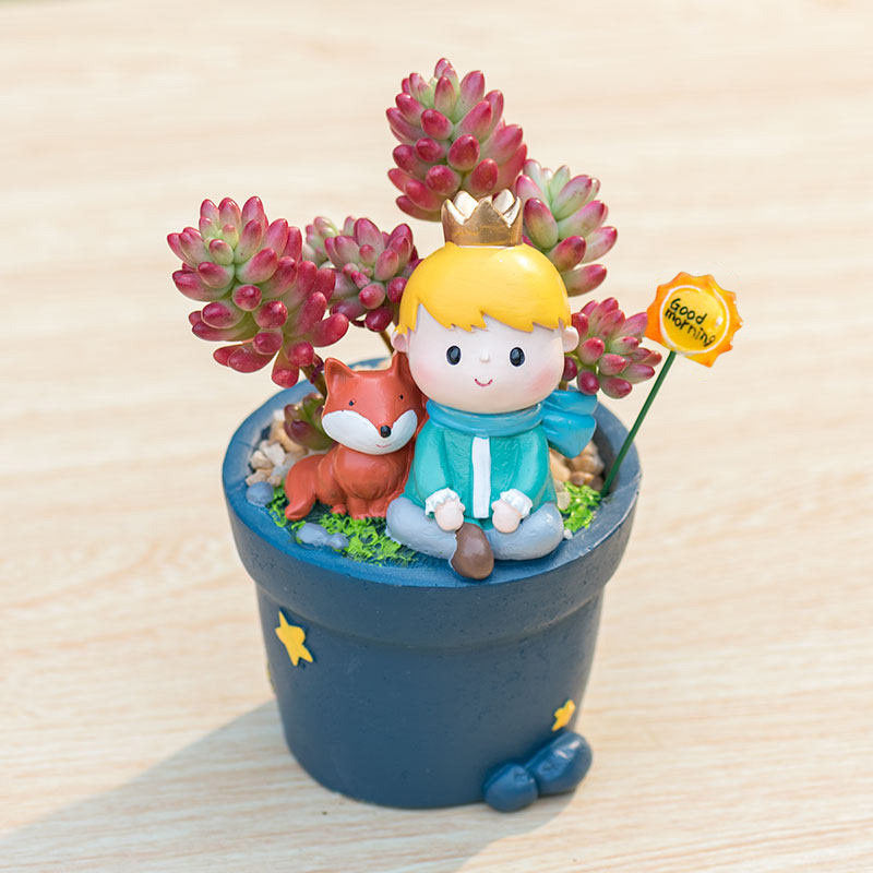 Little Prince Succulent Flower Pot with Decorative Insert