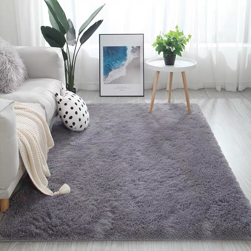 Living room carpet mat