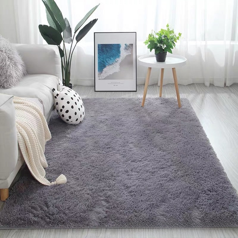 Living room carpet mat