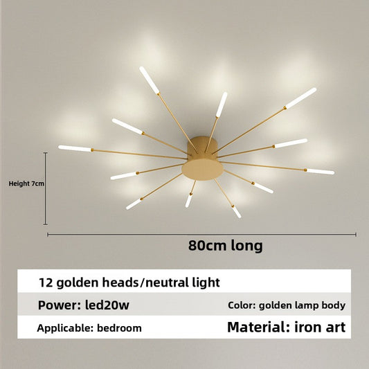 Living room ceiling lamp
