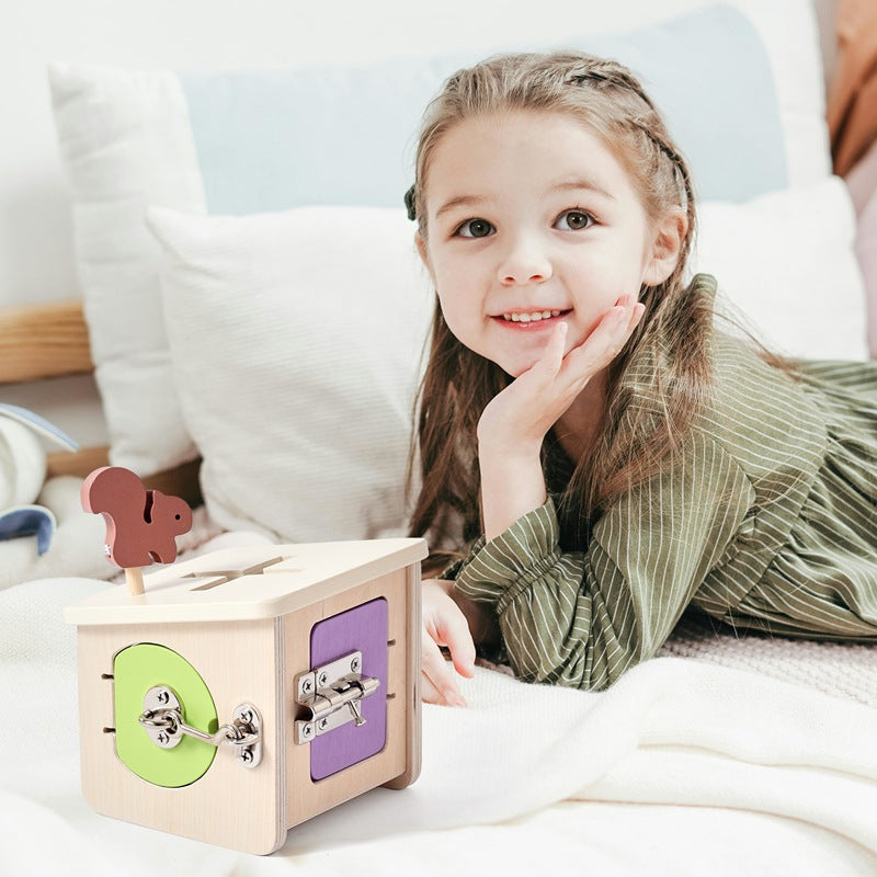 Lock-picking toy