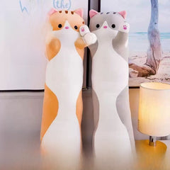 Gray-long cat
