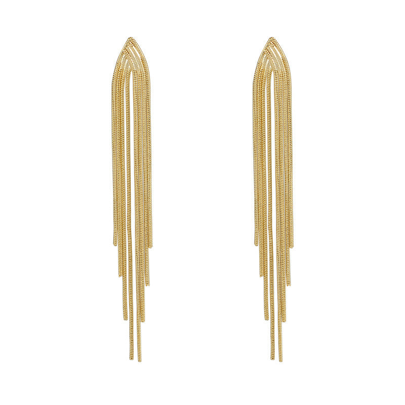 Long chain tassel earrings