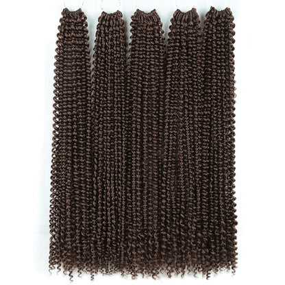 Long curly wig
