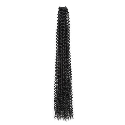 Long curly wig
