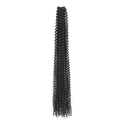 Long curly wig