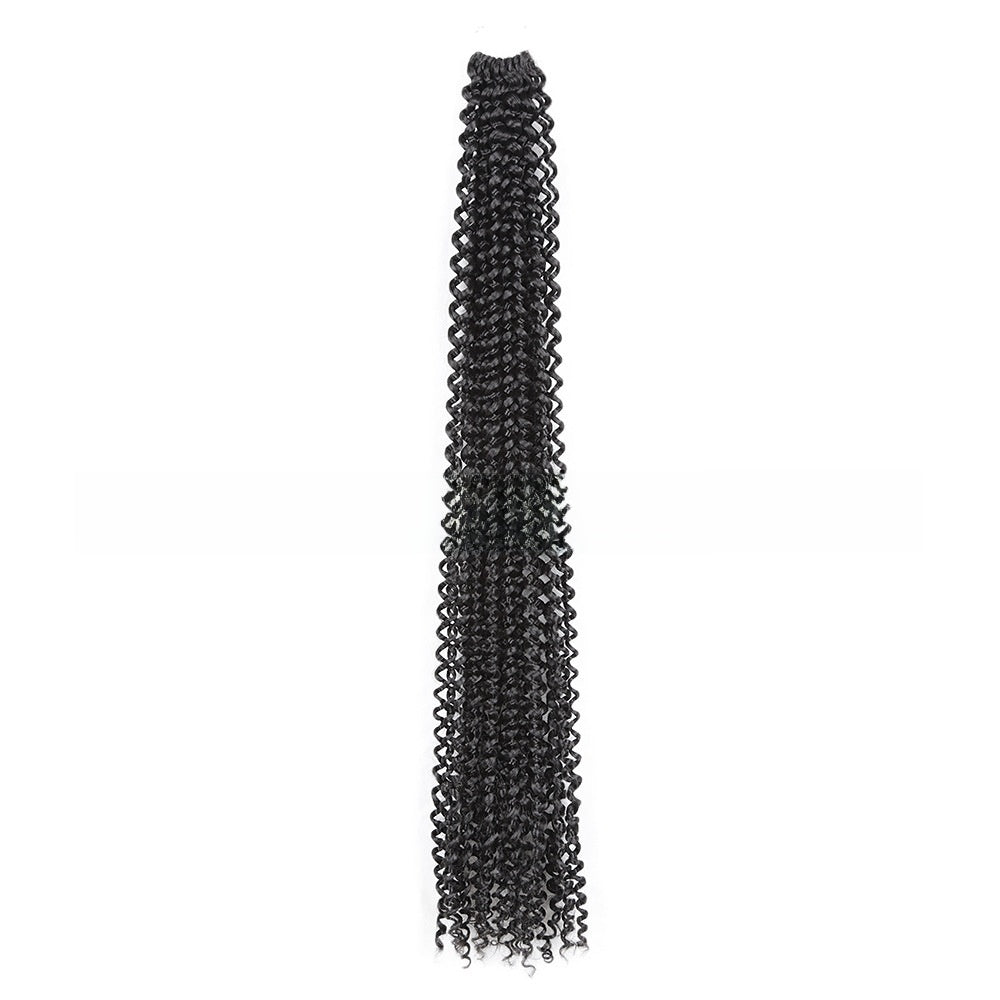 Long curly wig