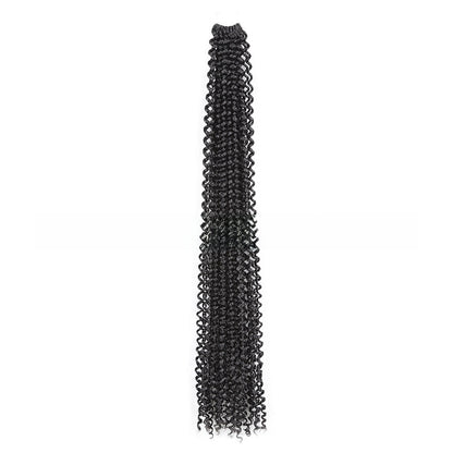 Long curly wig