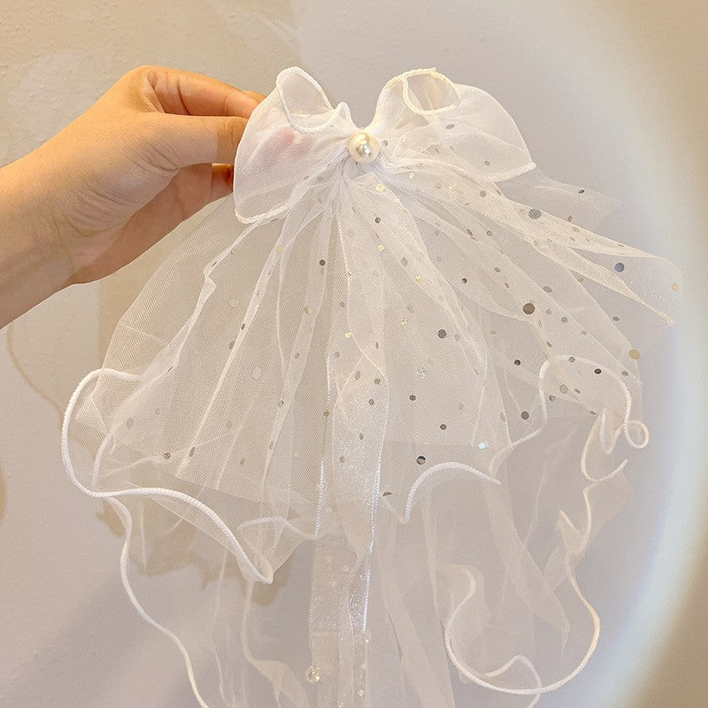 Long veil princess crown photo hairpin
