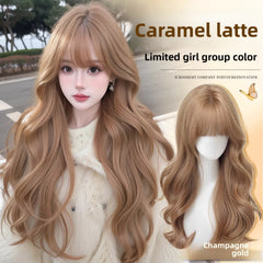 Champagne Gold Hair Net