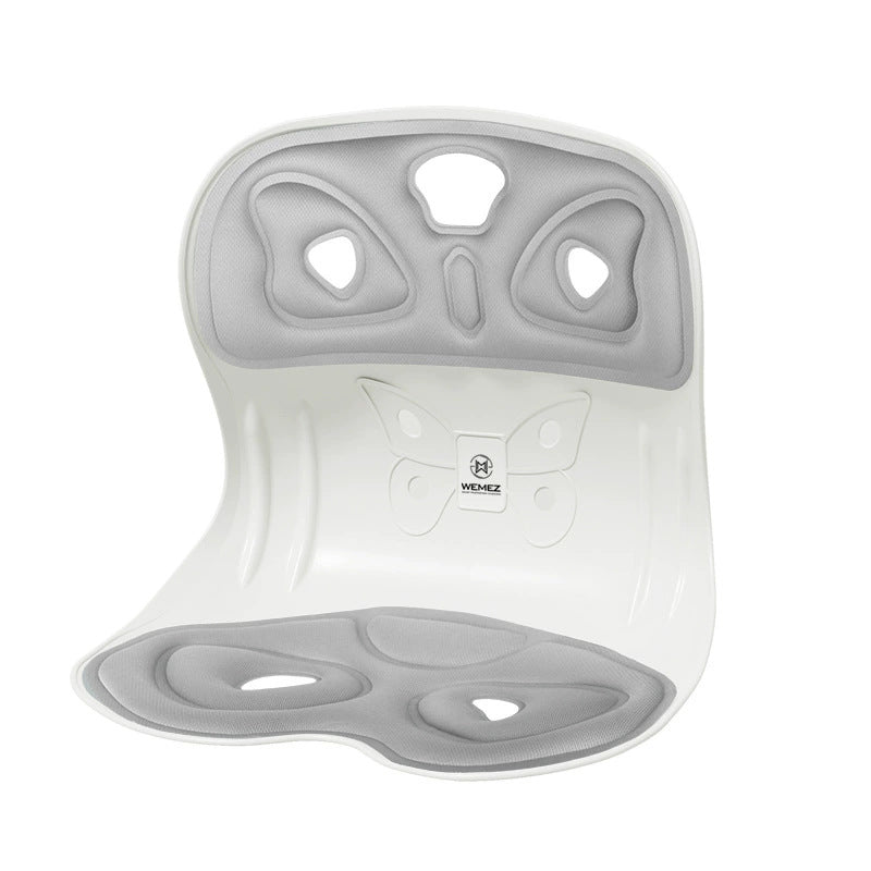 Lumbar Cushion