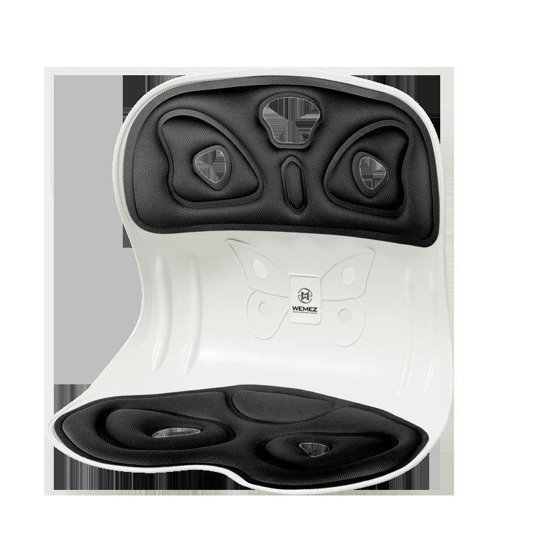 Lumbar Cushion