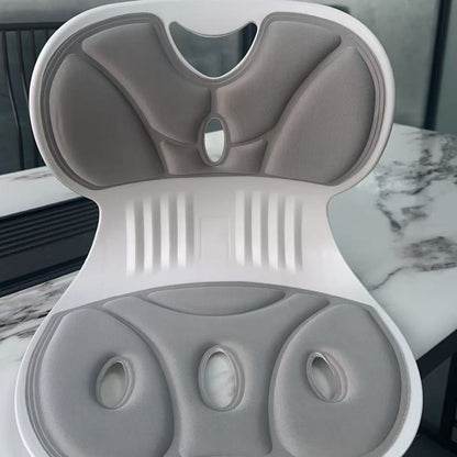 Lumbar Cushion