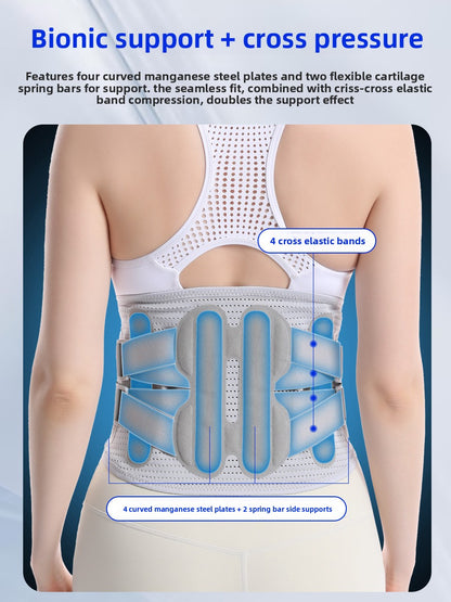 Lumbar Support Belt