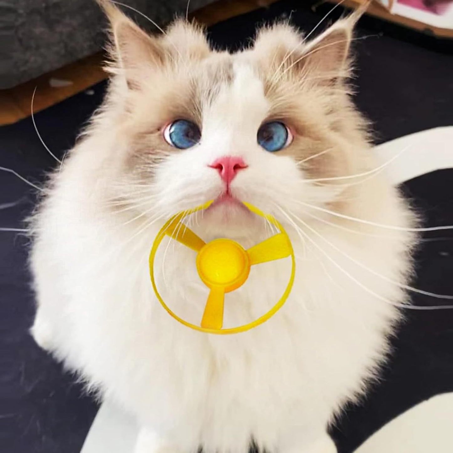 Luminous Frisbee