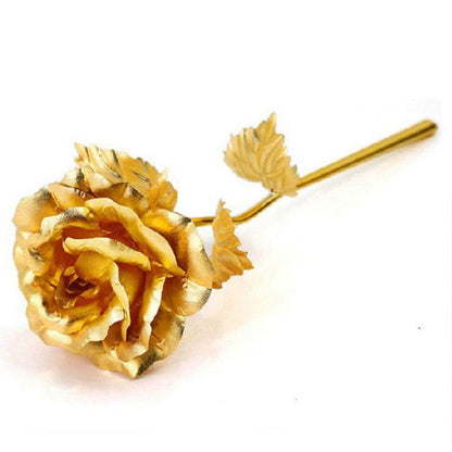 Luminous Gold-Ringed Rose