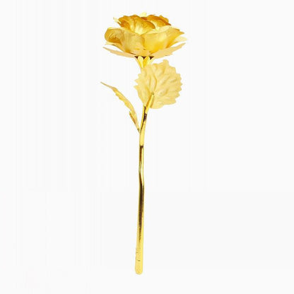 Luminous Gold-Ringed Rose