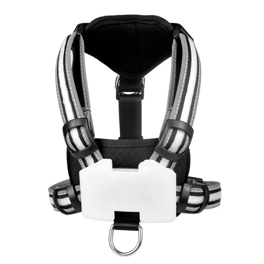 Luminous pet harness
