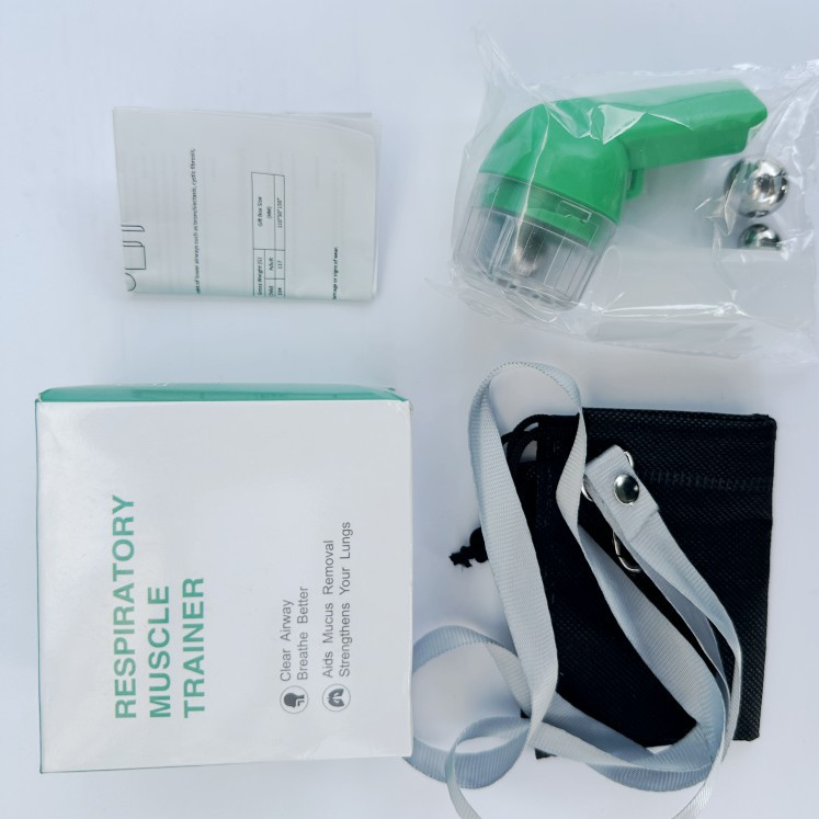 Lung flute device
