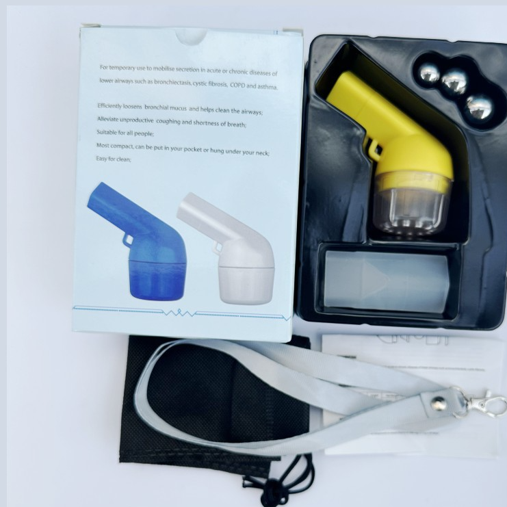 Lung flute device