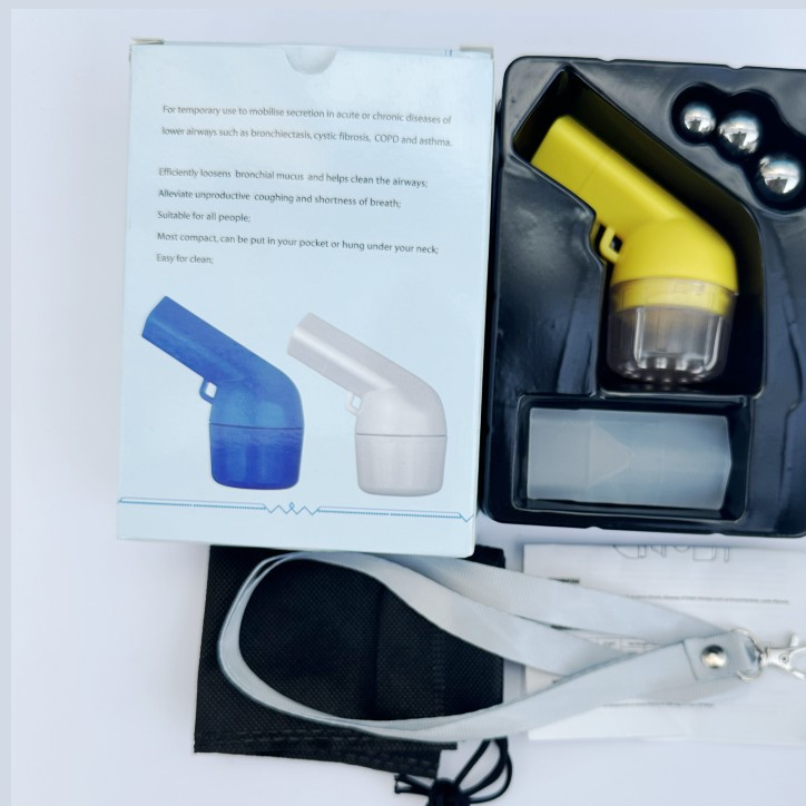 Lung flute device