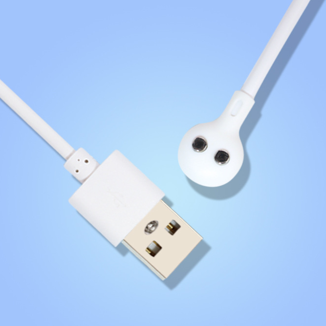 Magnetic Charging Cable