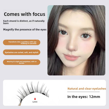 magnetic false eyelashes