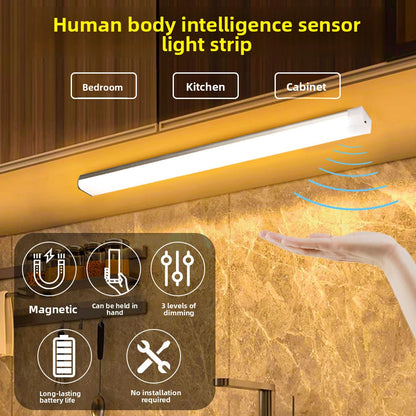 Magnetic induction lamp