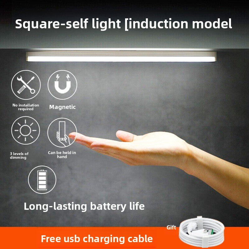 Magnetic induction lamp