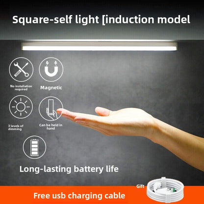 Magnetic induction lamp