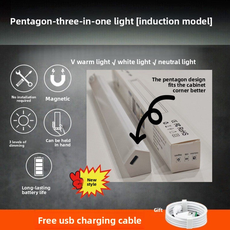 Magnetic induction lamp