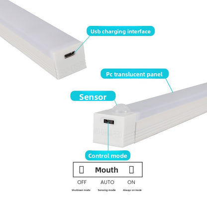 Magnetic induction lamp