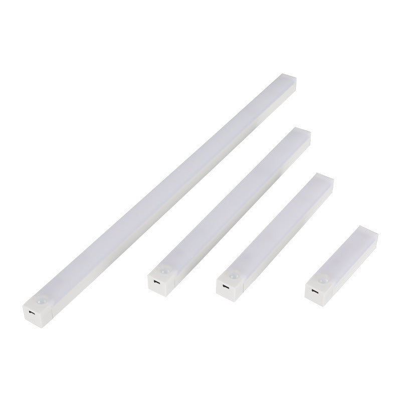 Magnetic induction lamp