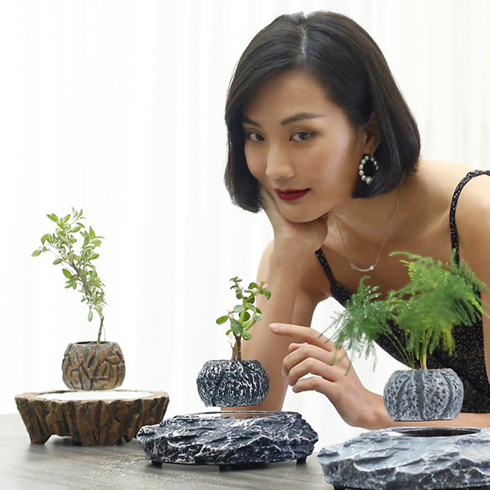 Magnetic Levitation Flower Pot Ornaments