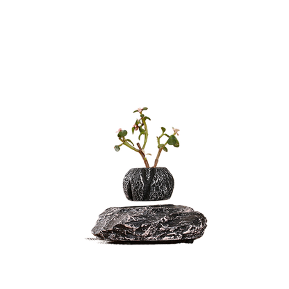 Magnetic Levitation Flower Pot Ornaments