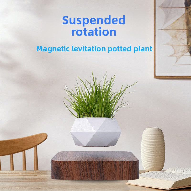 Magnetic Levitation Plant Display Stand