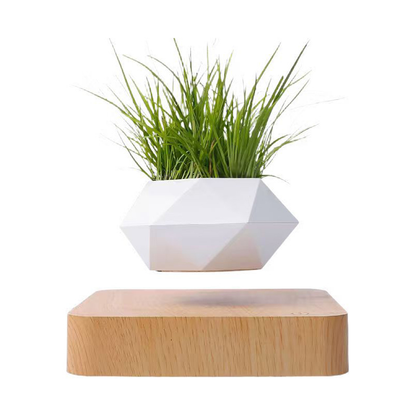 Magnetic Levitation Plant Display Stand