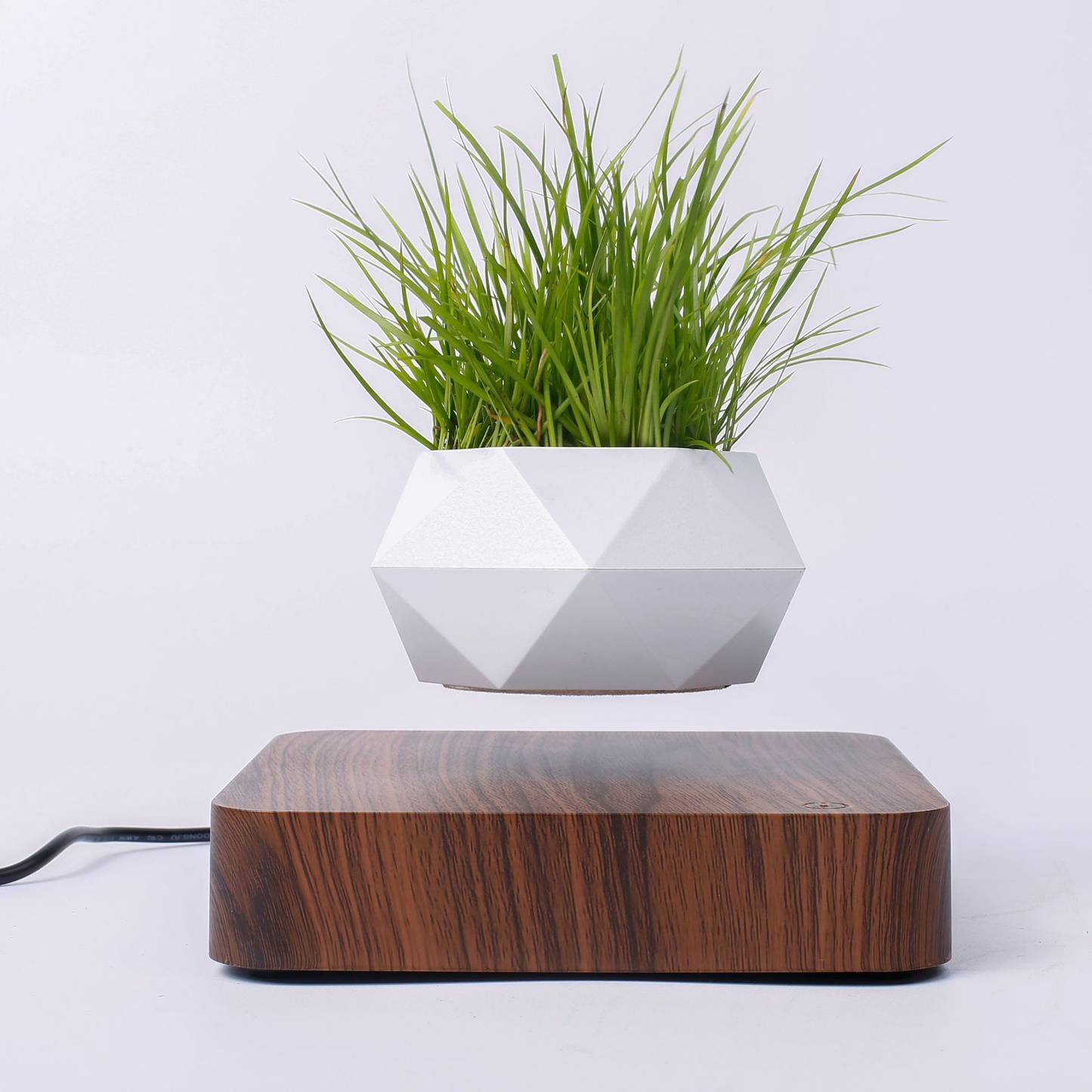 Magnetic Levitation Plant Display Stand