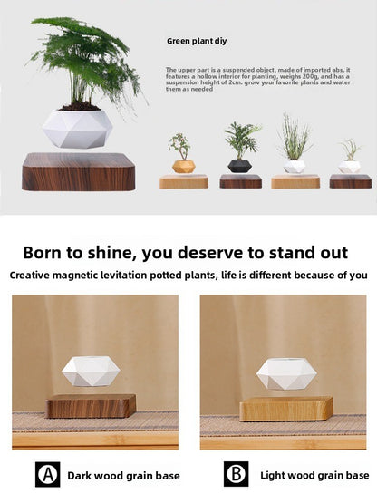 Magnetic Levitation Planter with Wood Carving, Trendy Living Room Decor