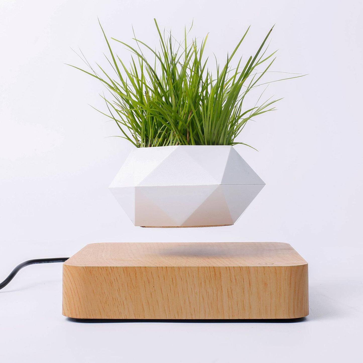 Magnetic Levitation Planter with Wood Carving, Trendy Living Room Decor