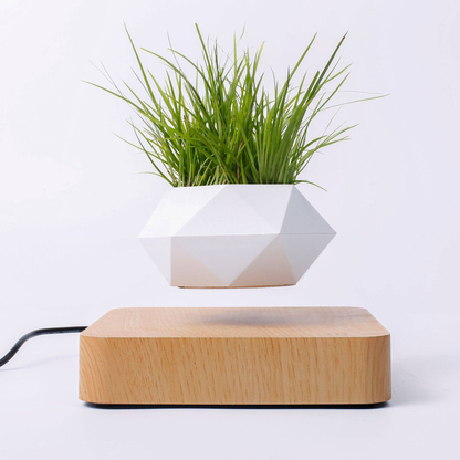 Magnetic Levitation Planter with Wood Carving, Trendy Living Room Decor