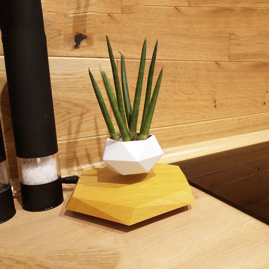 Magnetic levitation potted plant
