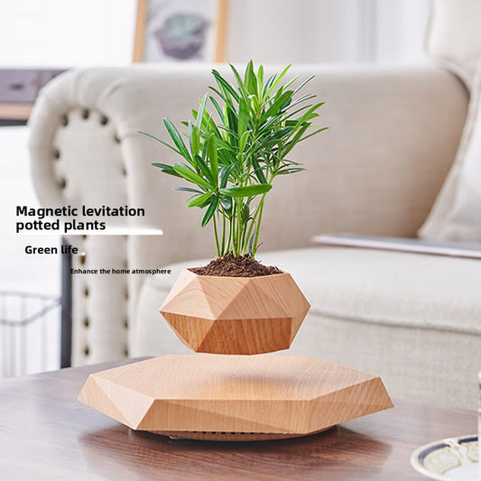 Magnetic levitation potted plant