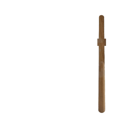 Magnetic Long Handle Shoe Horn
