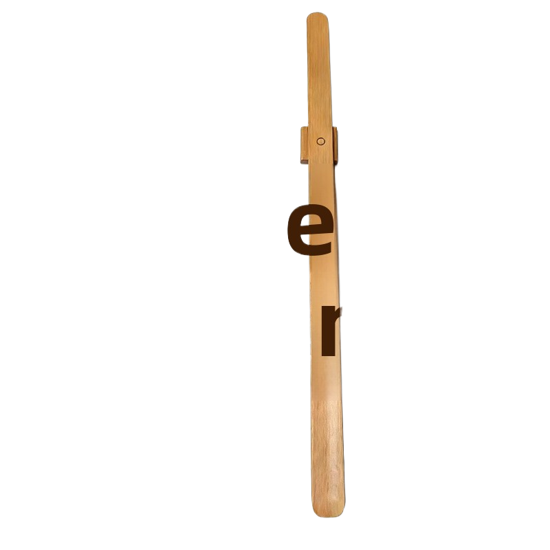 Magnetic Long Handle Shoe Horn