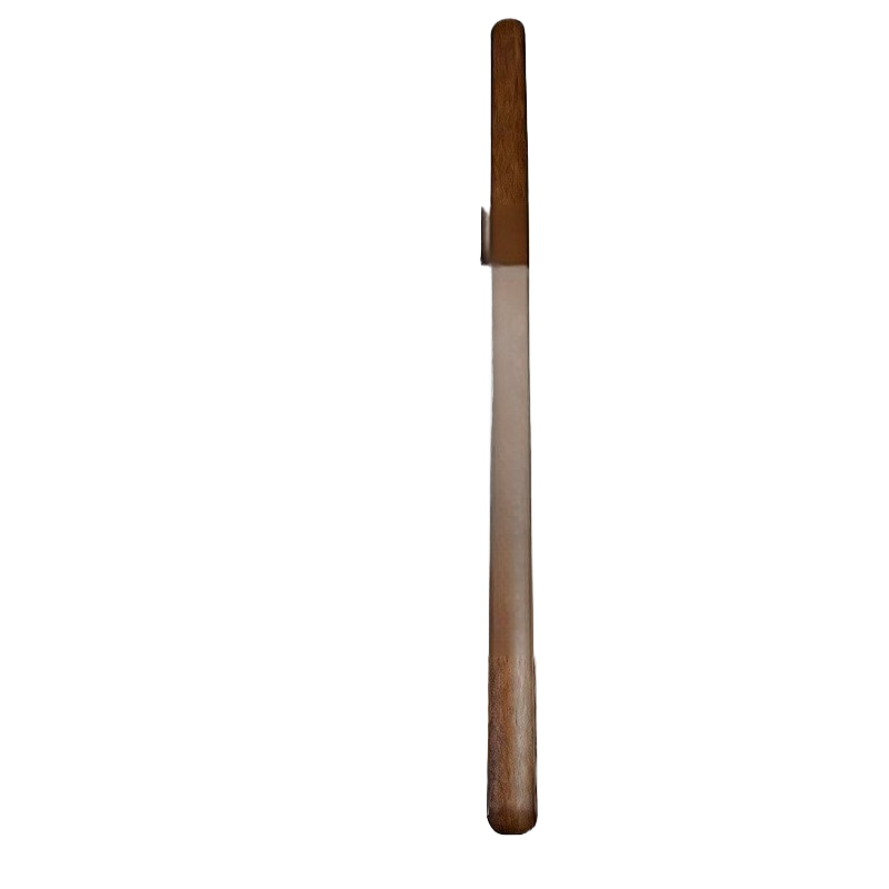 Magnetic Long Handle Shoe Horn