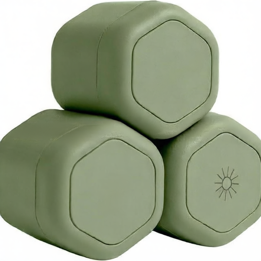 Magnetic Travel Capsule