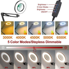 Black Clip Base