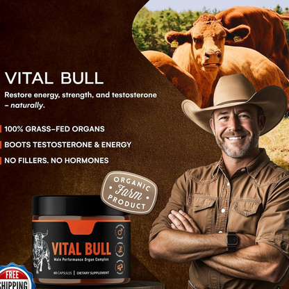 Male Vitality Supplement Beef Liver Capsules