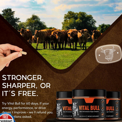 Male Vitality Supplement Beef Liver Capsules